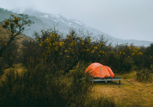 Waarom is online blackjack spelen op de camping zo populair?